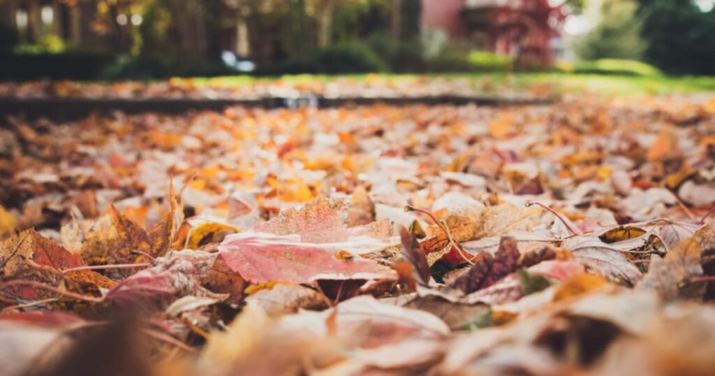 Unionville Markham Neighbourhood Guide — Ray Azar Real Estate